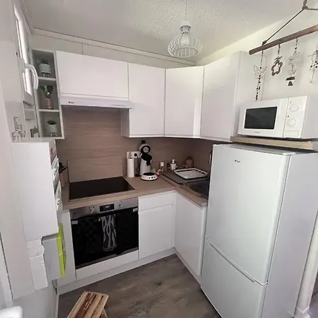 Bel T2 Refait A Neuf Avec Piscine Couverte De Juin A Fin Septembre, Pres Des Stations De Avec Navette Et Draps Et Serviettes Compris Apartman *